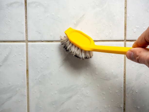 Best Emergency Mold Removal  in Oakboro, NC
