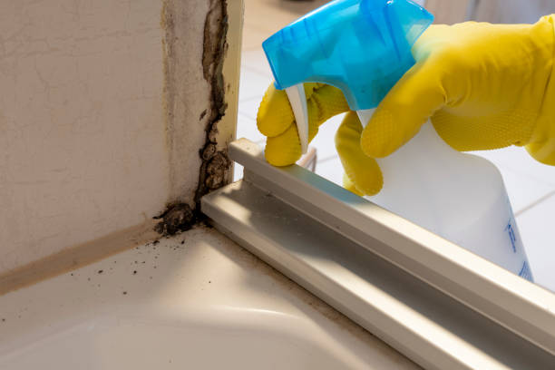 Best Mold Cleaning Services  in Oakboro, NC