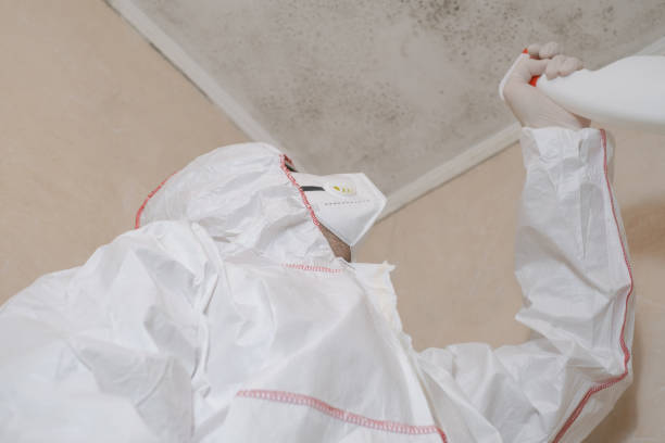 Mold Testing and Removal in Oakboro, NC