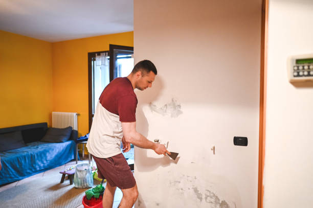 Best Home Mold Removal  in Oakboro, NC