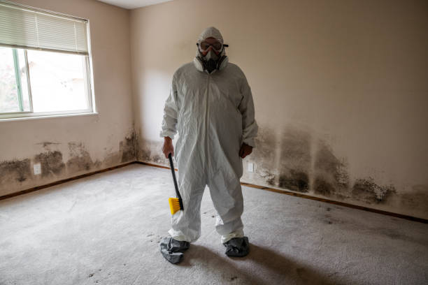 Reliable Oakboro, NC Mold Removal Solutions